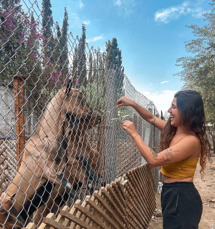 MSC Sport Campus Marrakech: Amazing 9 Powerful Perks